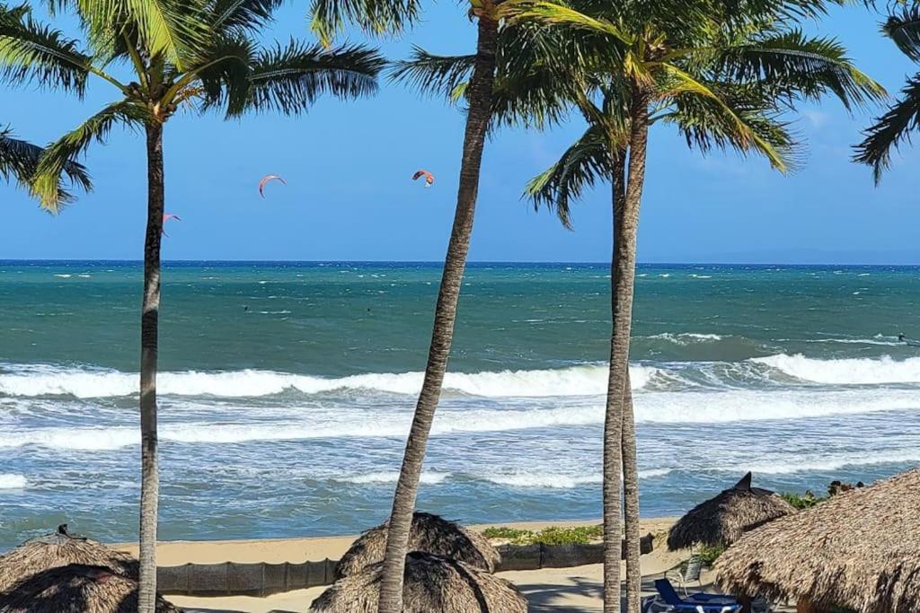 Appartamento Oceanview Penthouse On The Beach Cabarete Esterno foto