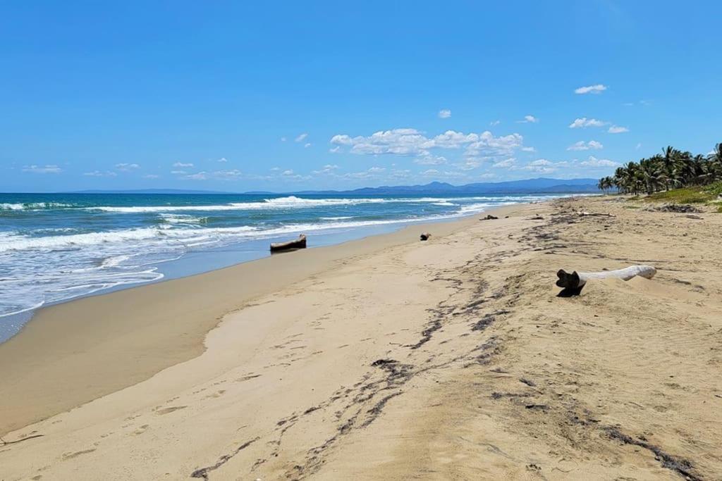 Appartamento Oceanview Penthouse On The Beach Cabarete Esterno foto