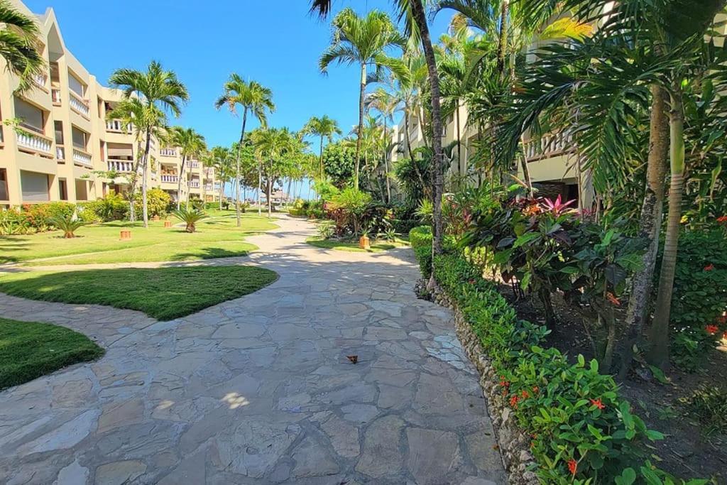 Appartamento Oceanview Penthouse On The Beach Cabarete Esterno foto