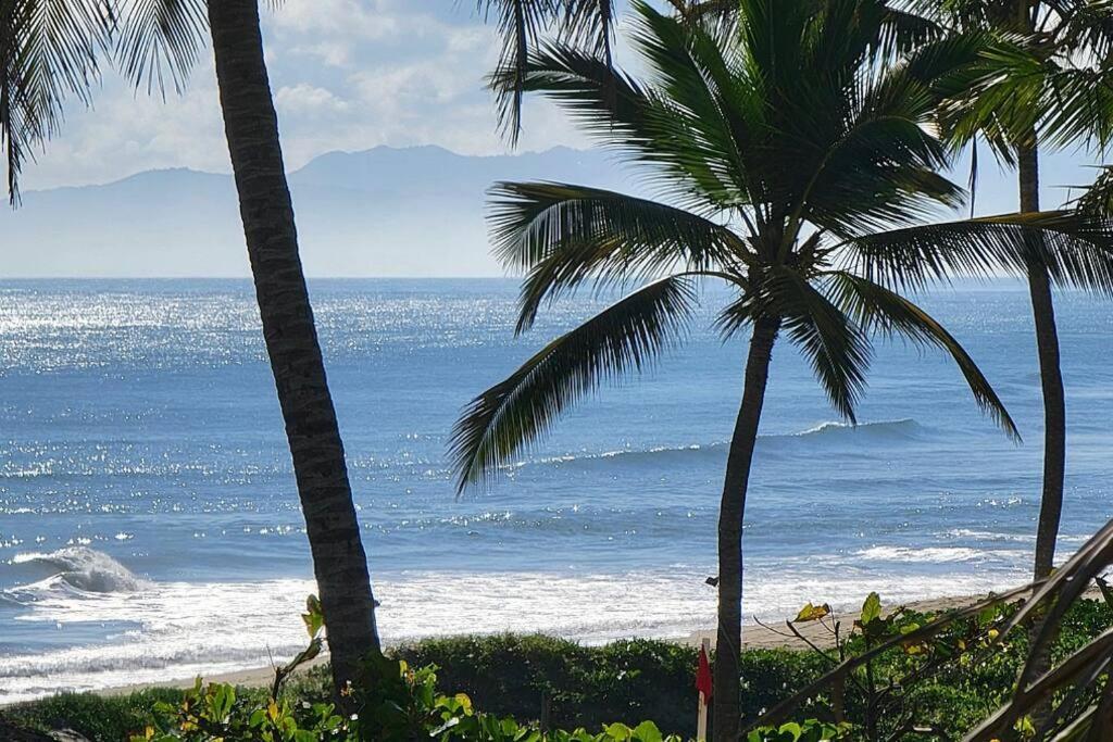 Appartamento Oceanview Penthouse On The Beach Cabarete Esterno foto